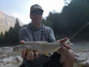 August Marble trout